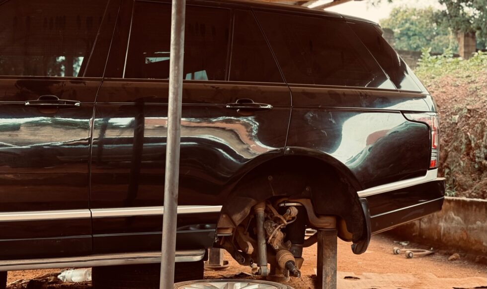 WhatsApp Image 2026-03-25 at 03.44.45 (1)