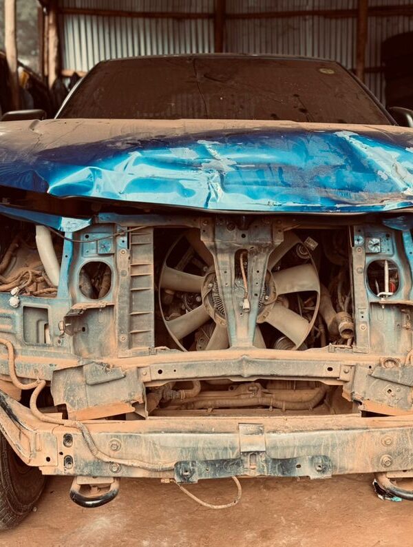 WhatsApp Image 2026-03-25 at 22.24.54 (1)